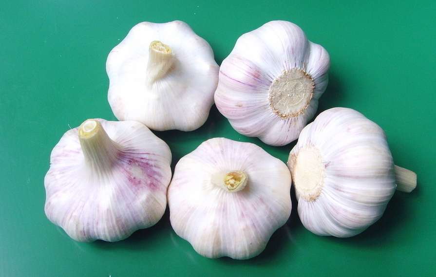 厨房必备的三种良药 (厨房的小偏方有哪些可以用)