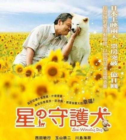 北京导盲犬乔乔,北京导盲犬乔乔最新消息