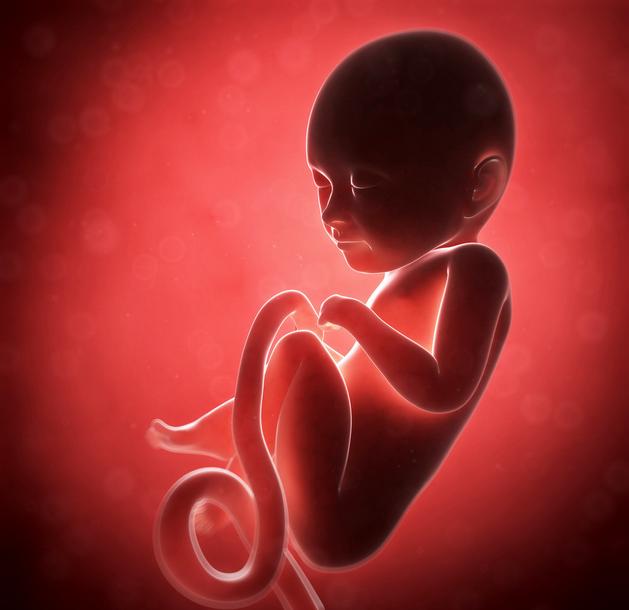 胎儿求救的5大信号宝妈学会了吗,胎儿求救3大信号孕妈咪要警惕