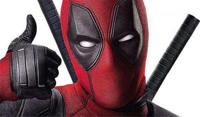 鹦鹉鸟笼被踩碎,鹦鹉踩烂鸟笼的视频