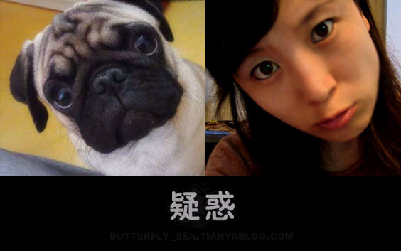 女性为什么不能像男性那样站着小便，原因是这样子的