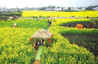 2022成都春季赏花地图,成都赏荷地图出炉啦