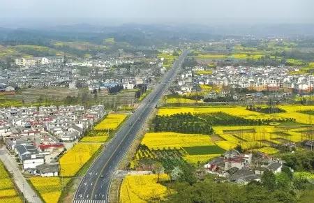 2022成都春季赏花地图,成都赏荷地图出炉啦