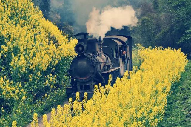 2022成都春季赏花地图,成都赏荷地图出炉啦