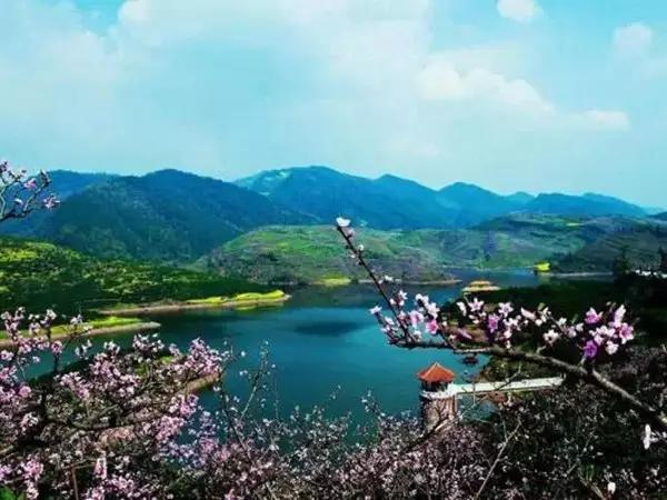 2022成都春季赏花地图,成都赏荷地图出炉啦