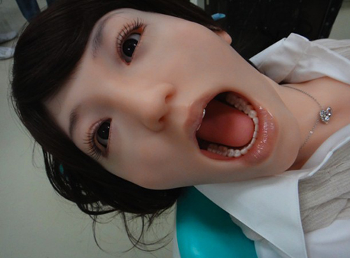 会“啪啪”的机器人你敢试试吗？