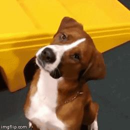 歪脖拯救世界,歪着脖子拯救地球图片