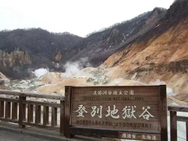 胡霍cp组合图片,胡霍霍cp动图