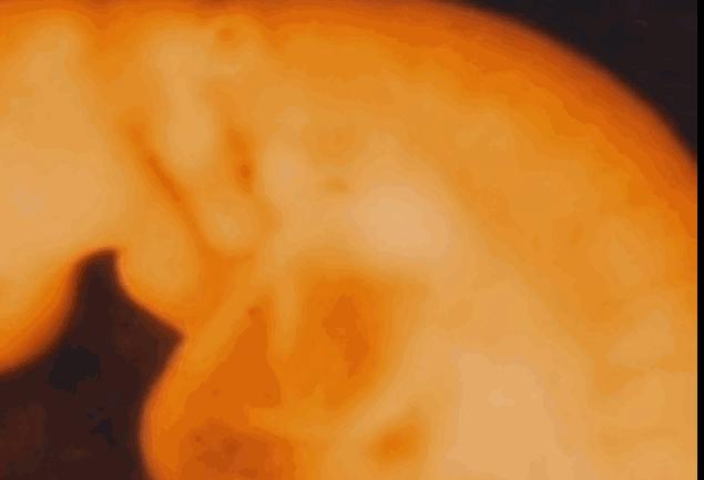 好孕2016！汤唯宣布怀孕啦！女神的小猴子是这样来的！