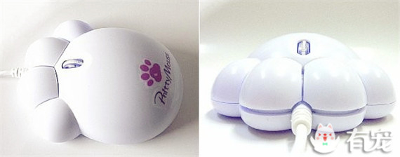 不能专心工作了~猫奴必败的逼真猫爪鼠标来啦!