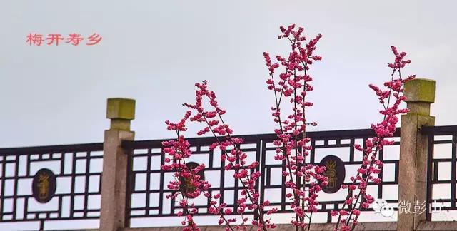 澶у江灞辩殑缇庢櫙,褰北鏄ュ鏃呮父