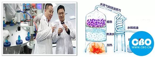 2016补水市场如何再搅局?这个品牌说:靠研发和技术!