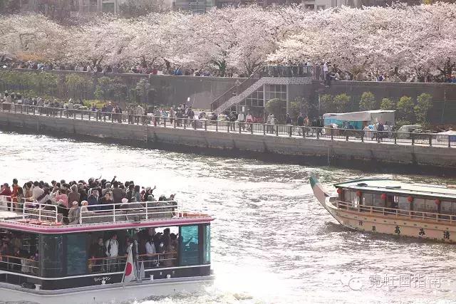 花沁心扉，见我尤怜