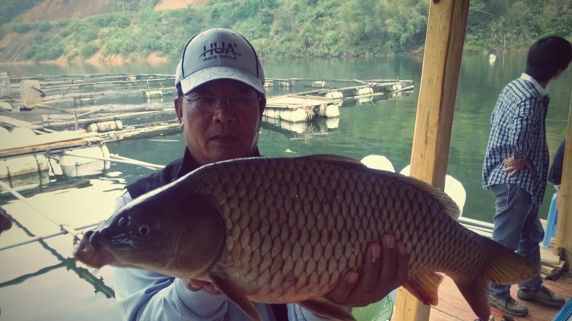 垂钓大师游戏钓鱼技巧,垂钓大师私家秘诀书