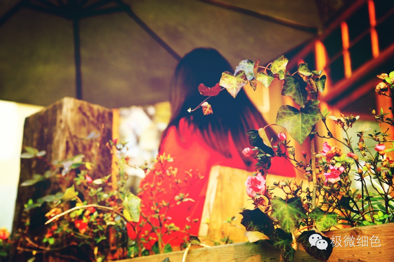 涔惧煄婀樿タ,婀樿タ涔惧煄鍙ゅ煄