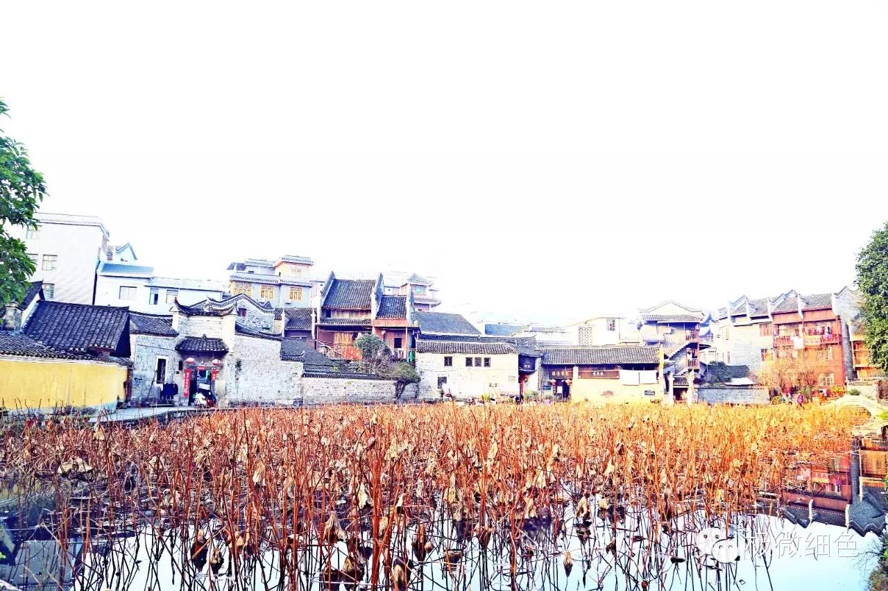 涔惧煄婀樿タ,婀樿タ涔惧煄鍙ゅ煄