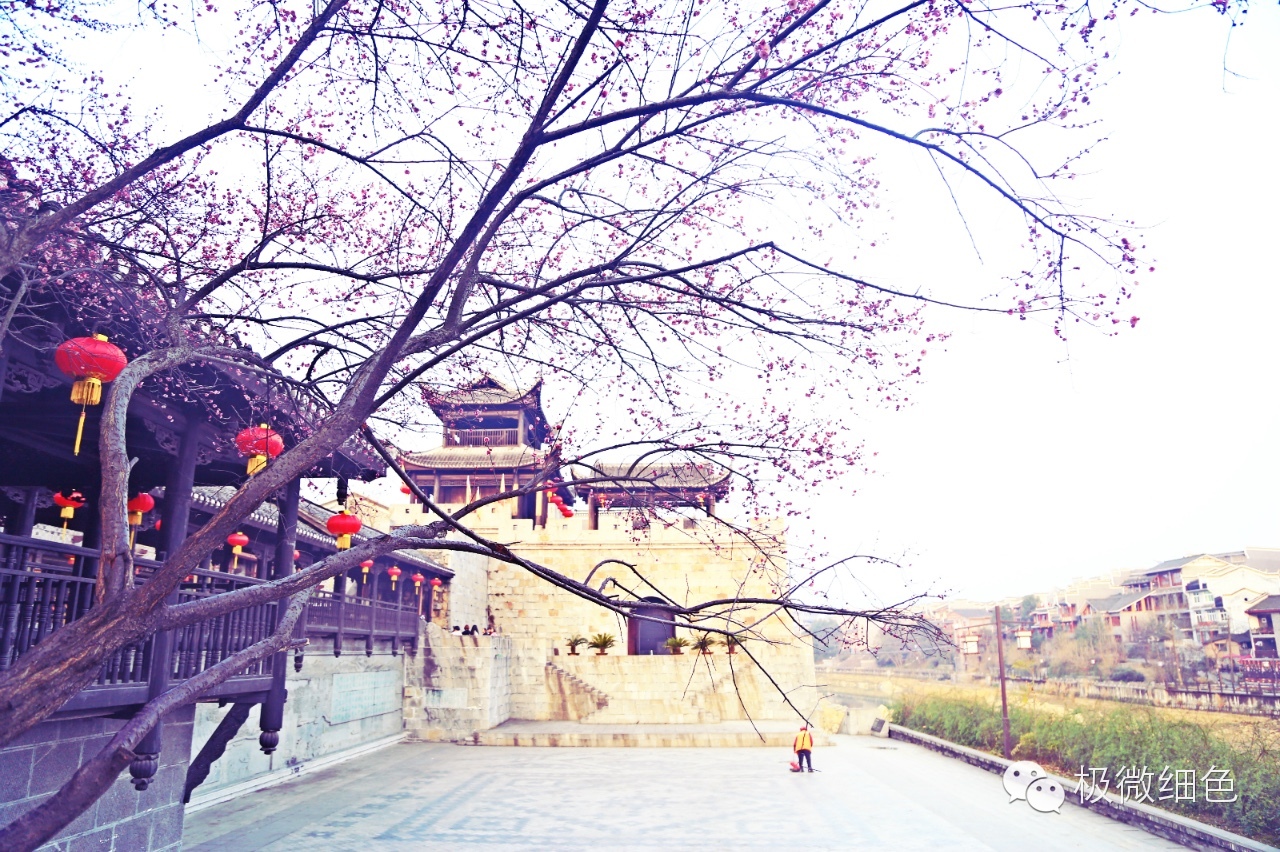 涔惧煄婀樿タ,婀樿タ涔惧煄鍙ゅ煄