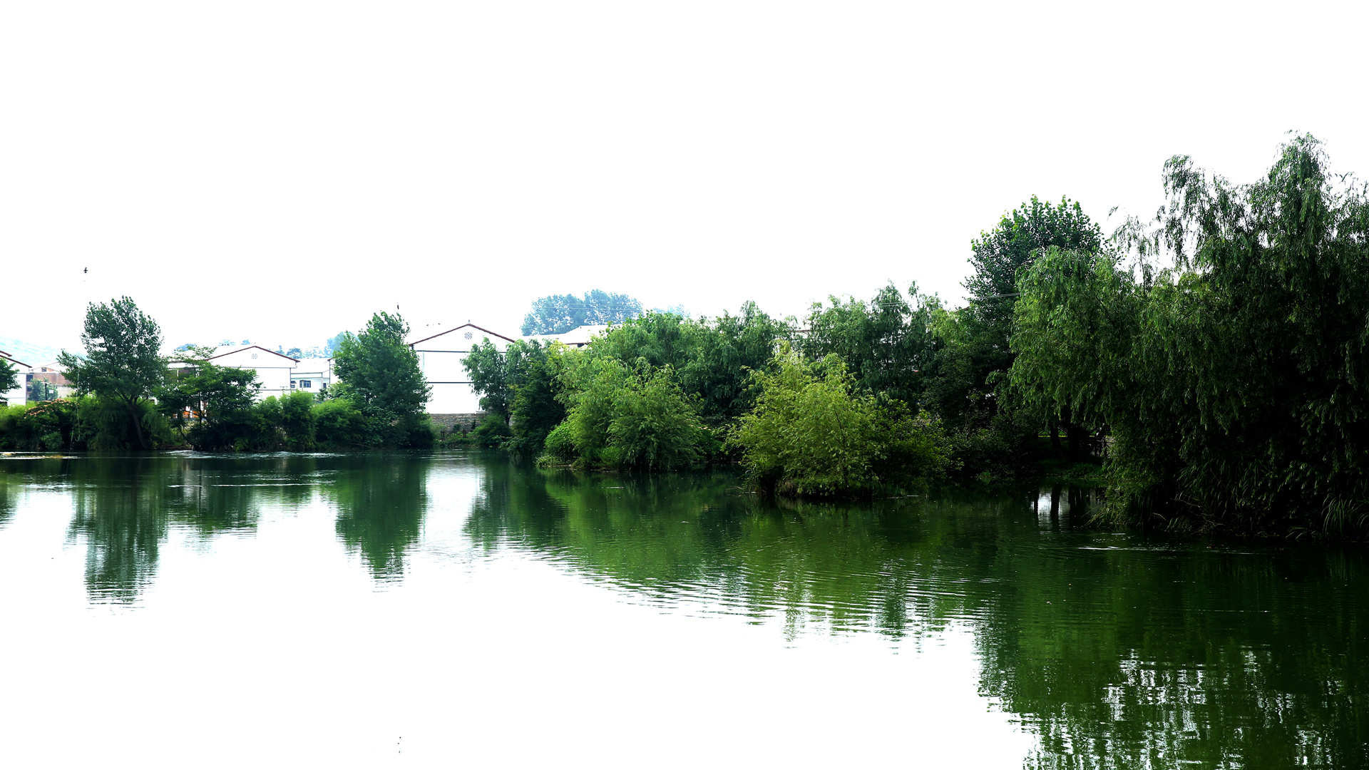 看看如今旧州镇终于找到了历史上夜郎自大的底气