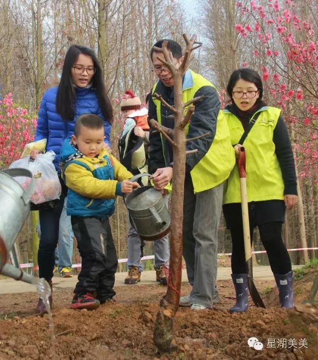 七星岩景区桃花,肇庆七星岩的桃花是什么颜色的