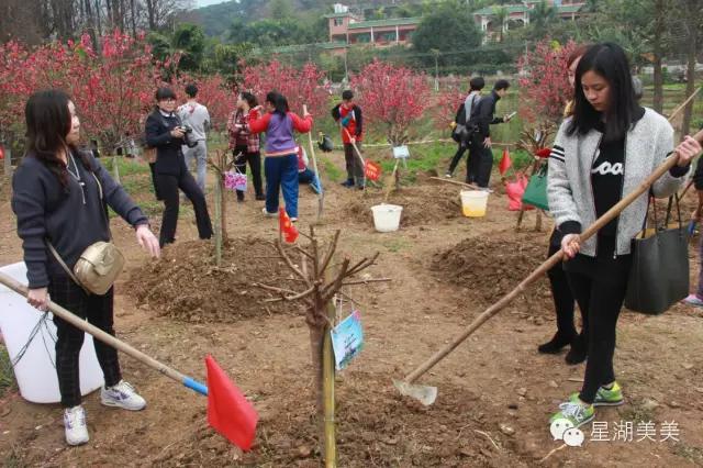 七星岩景区桃花,肇庆七星岩的桃花是什么颜色的