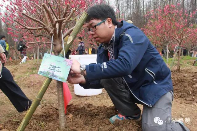 七星岩景区桃花,肇庆七星岩的桃花是什么颜色的