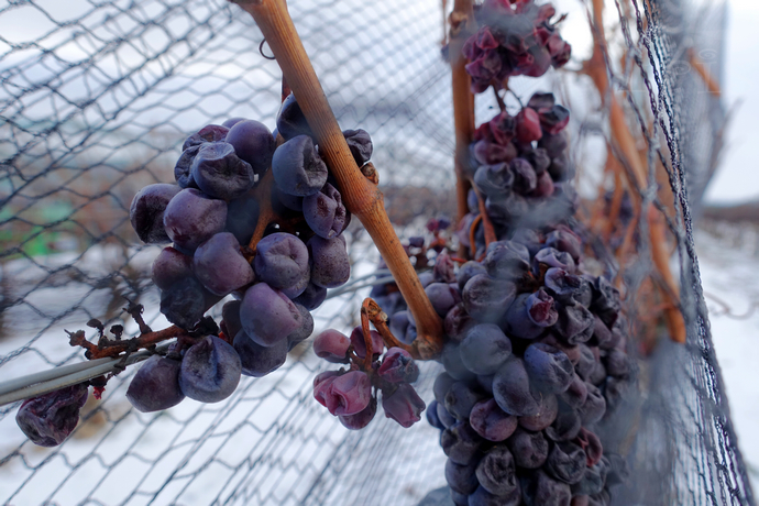 冬日里的安大略，冰雪奇趣一起嗨翻天