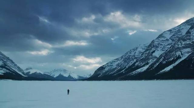 小李子荒野猎人有多拼命,小李子荒野猎人复仇