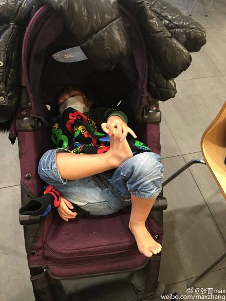 甄子丹儿子跆拳道红带，张晋被女儿“甜蜜家暴”，功夫二代太厉害