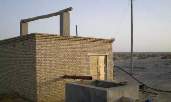 戈壁滩上种大枣,戈壁滩种枣