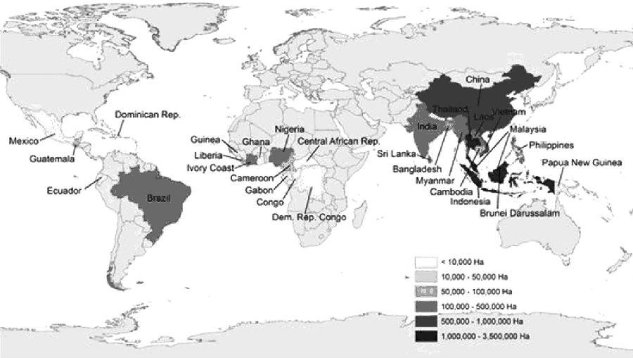极端天气影响全球多国,极端天气对我国粮食产量的影响
