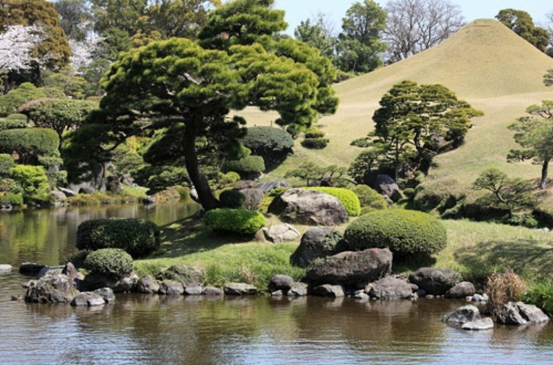 熊本熊熊出没,熊本熊77期