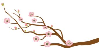 寻找奉贤之美海湾旅游区：上海最绵长的沙滩，31.6公里长的海岸线横亘东西