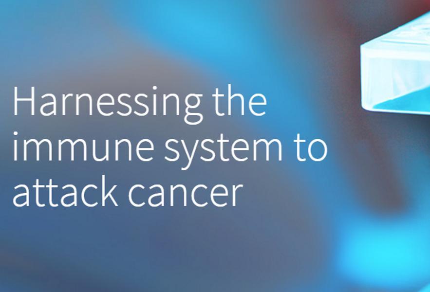 硅谷创业公司排名前十,硅谷十大顶级初创公司