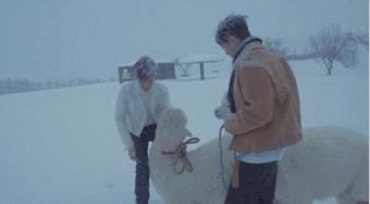 霍建华睫毛有多长,霍建华的一根睫毛