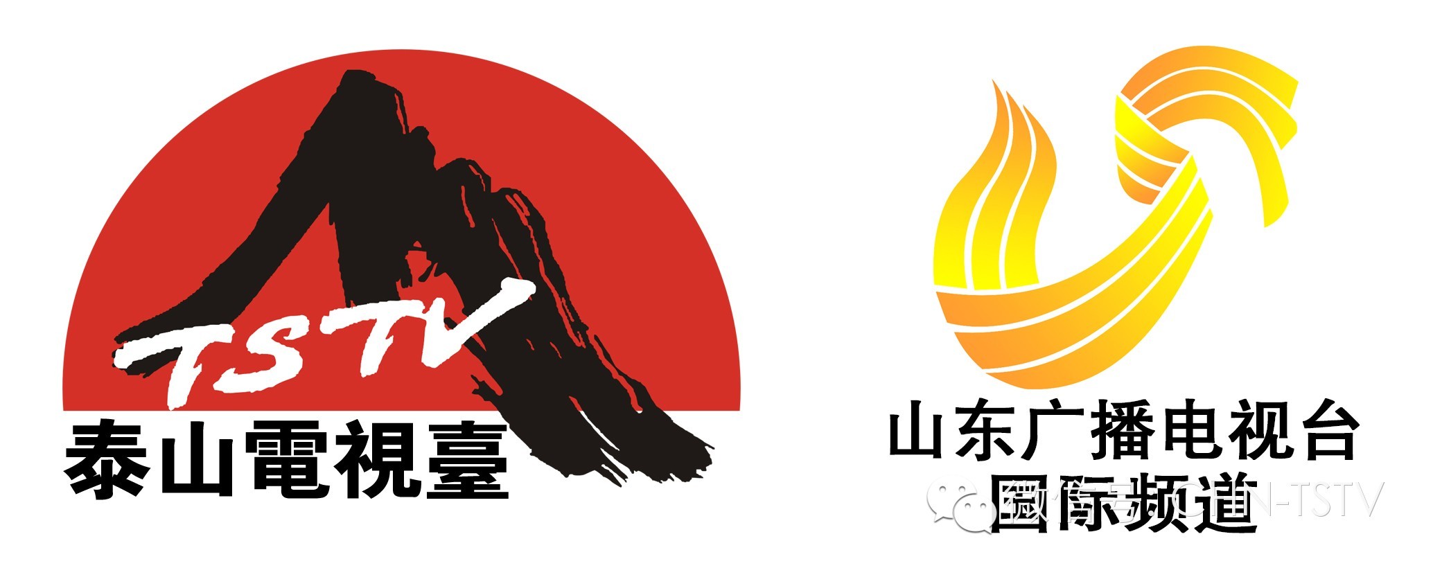 《新杏坛》强势登陆泰山电视台全球播出!