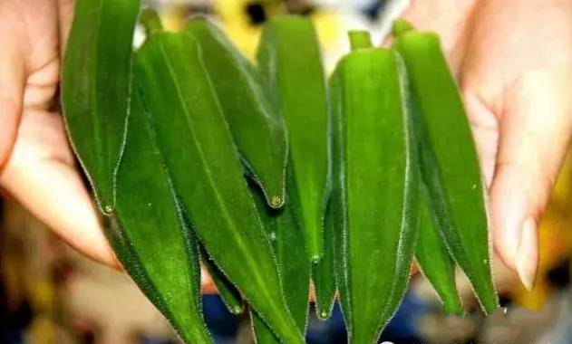 哪些美食男性吃了可以补肾,男人吃了滋补女人吃了美容养颜