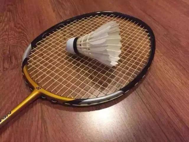 羽毛球运动理论知识总结,羽毛球单人球感练习