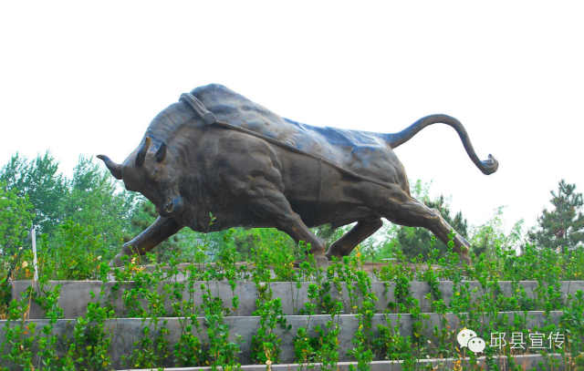 一篇《邱县赋》，说尽了多少邱县事