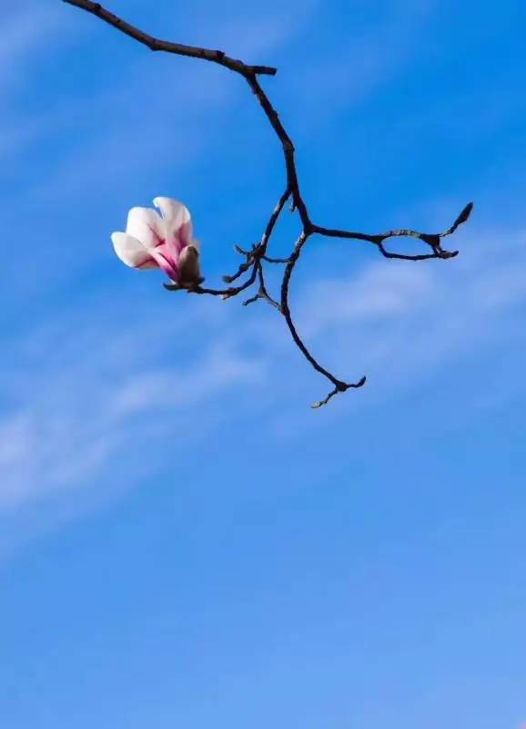 爱我亚太——25周年校庆系列活动之“爱”校