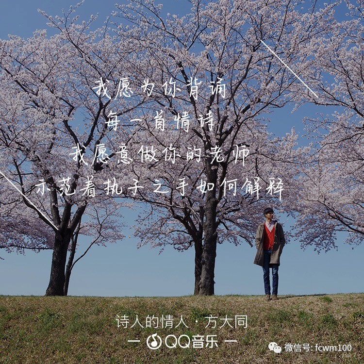 「喜欢你」用一句歌词,你会用哪一句?