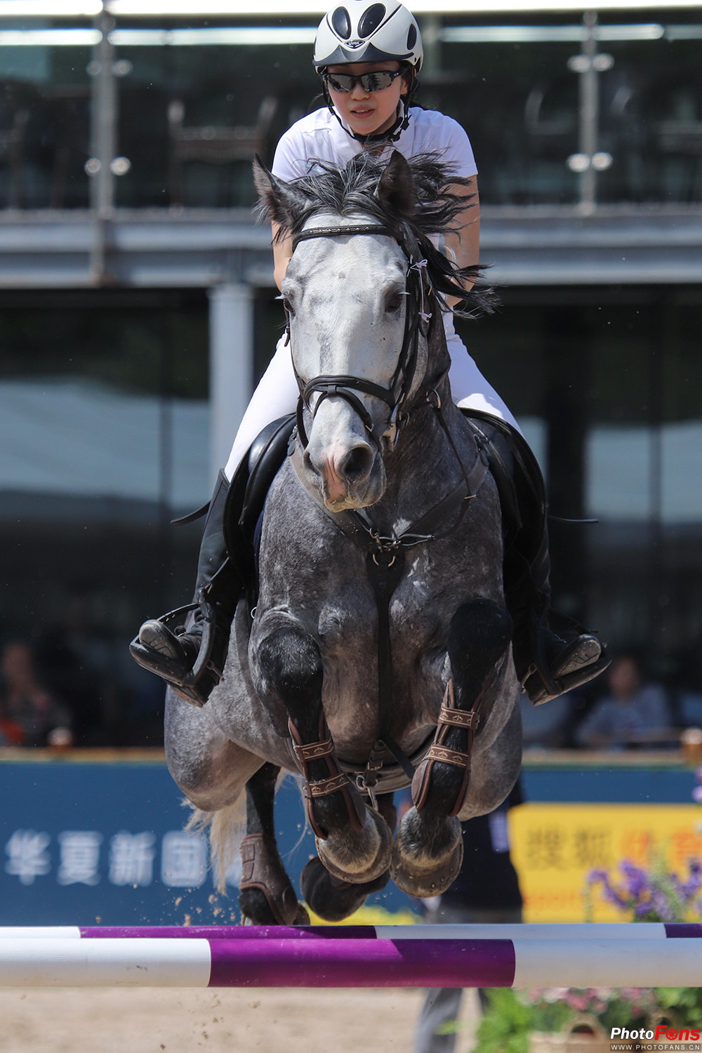 佳能eos77d镜头挑选,小白摄影入门了解佳能77d