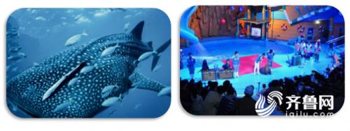 端午节旅游攻略自驾游山东,端午小长假适合去哪玩自驾