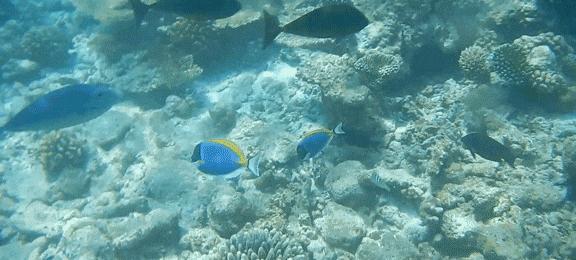 阳光之州是美国哪个州,阳光之州佛罗里达