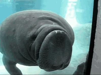 阳光之州是美国哪个州,阳光之州佛罗里达