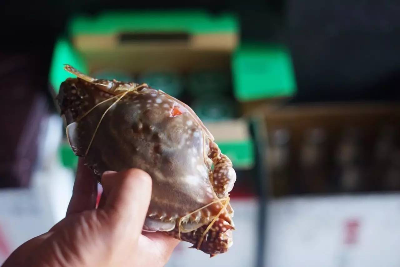 6张桌子，2个包厢，城南这家连导航都搜不到的私房小馆子，却藏着《食神》级别的蛋炒饭……