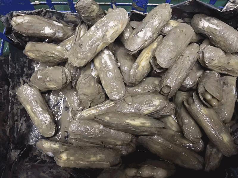 6张桌子，2个包厢，城南这家连导航都搜不到的私房小馆子，却藏着《食神》级别的蛋炒饭……