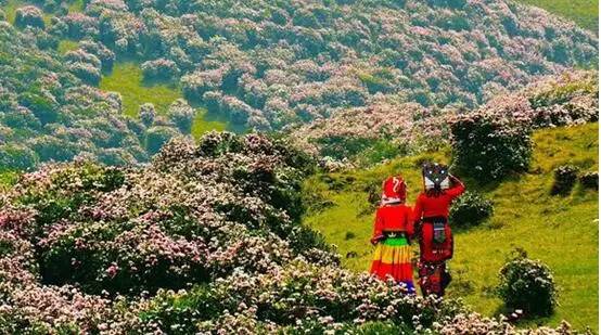 刚好遇见你，我的乌蒙