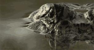 阳光之州是美国哪个州,阳光之州佛罗里达