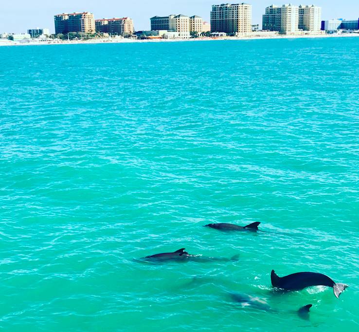 阳光之州是美国哪个州,阳光之州佛罗里达