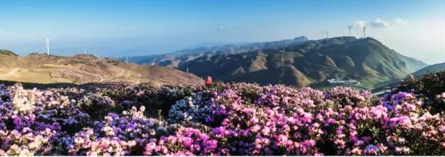 刚好遇见你，我的乌蒙